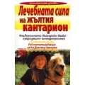 Лечебната сила на жълтия кантарион Лечебната сила на жълтия кантарион